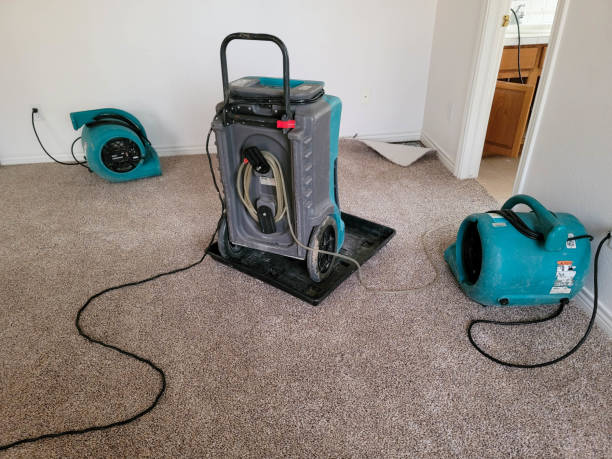 Best Flood restoration services  in Kountze, TX