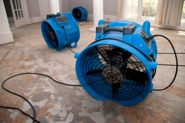  Kountze, TX Water damage restoration Pros