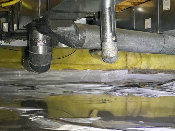 Best Water damage cleanup near me  in Kountze, TX